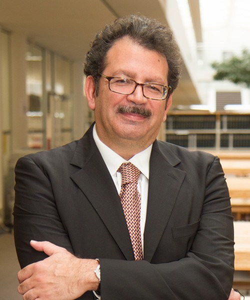 Professor Chibli Mallat